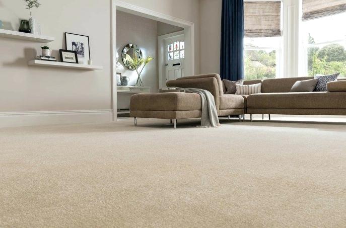 Freshly cleaned living room carpet in Santa Cruz County home